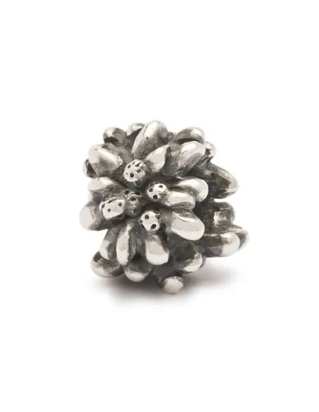 Trollbeads Limited Edition Stella Alpina | Agold