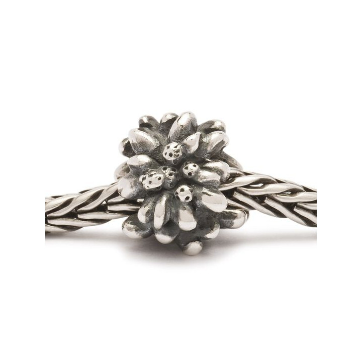 Trollbeads Limited Edition Stella Alpina
