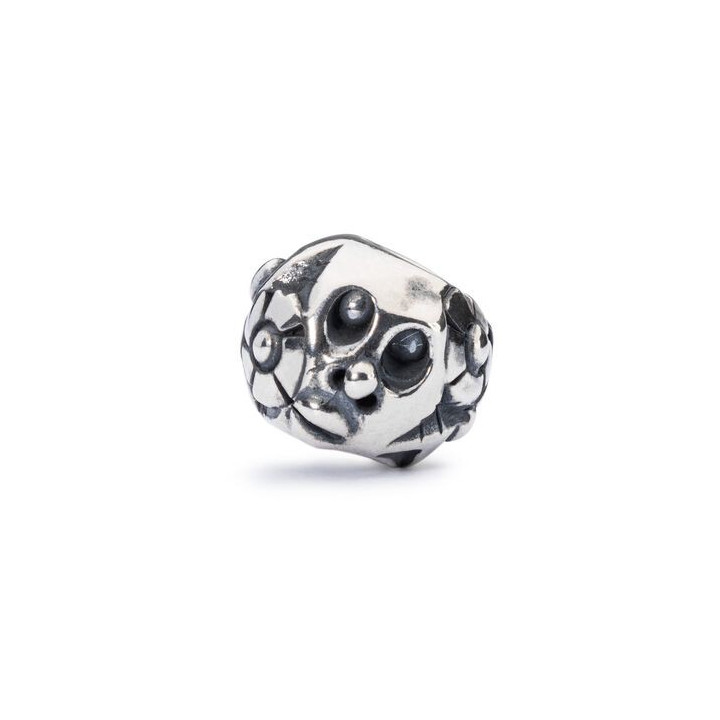 Trollbeads Ritired Guardiano della Natura
