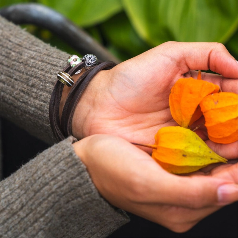 Trollbeads Ritired Tavolozza | Agold