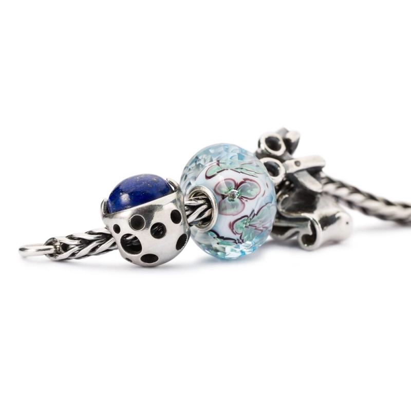 Trollbeads Dono della Conoscenza | Agold