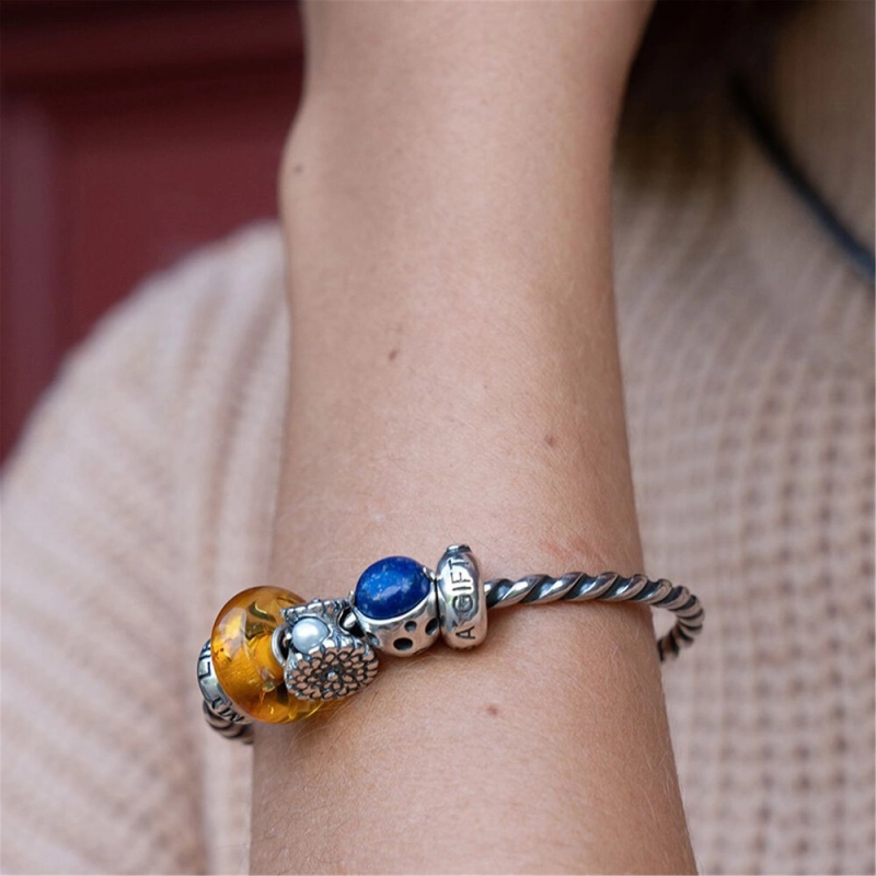 Trollbeads Dono della Conoscenza | Agold