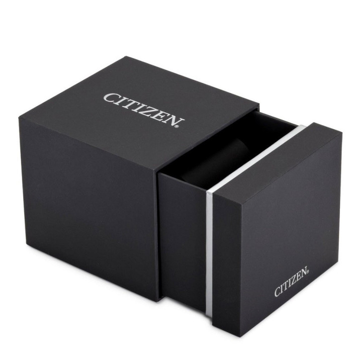 CITIZEN Pilot Titanio