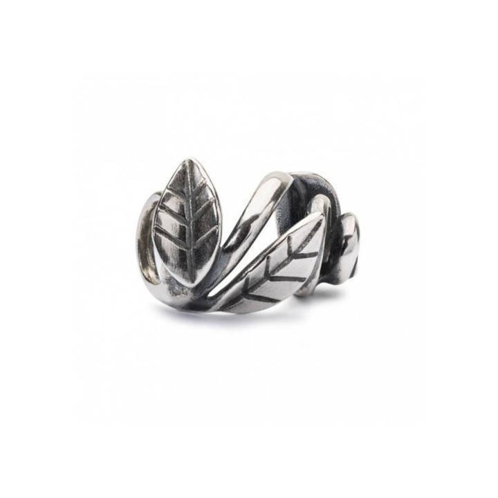 Trollbeads Vortice Della Natura
