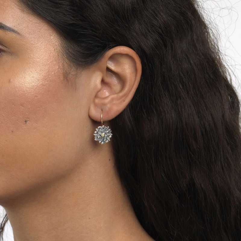 Trollbeads Ritired Orecchini Bacche di Mirtillo | Agold