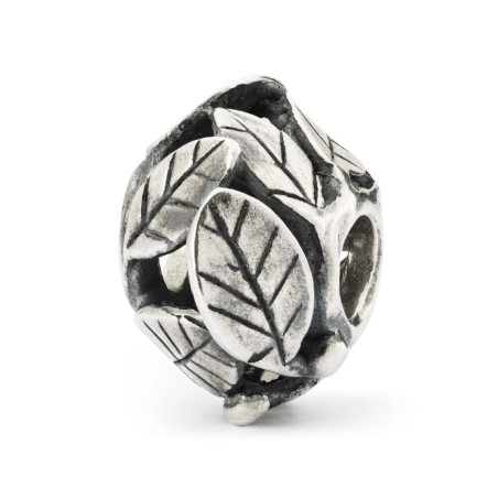 Trollbeads Scrigno di Foglie | Agold