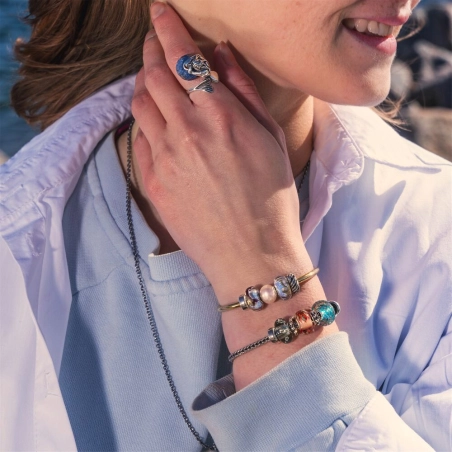 Trollbeads Limited Edition Amico Delfino | Agold