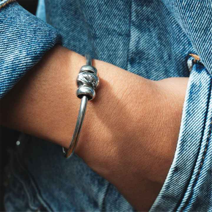 Trollbeads Limited Edition Armadillo