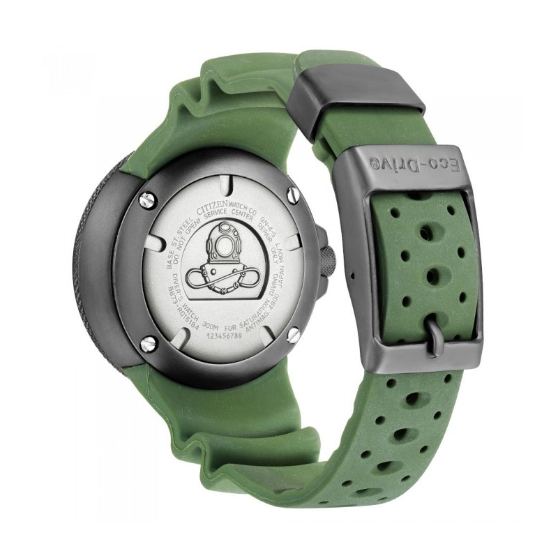 Citizen Promaster Diver's Professionale | Agold