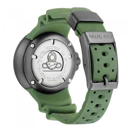 Citizen Promaster Diver's Professionale | Agold