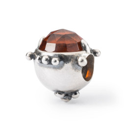 Trollbeads Dono dell'Amicizia