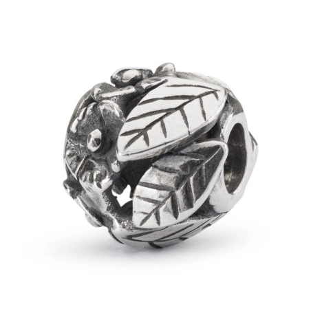 Trollbeads Flower Power | Agold