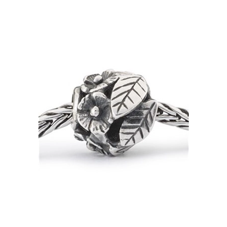 Trollbeads Flower Power | Agold