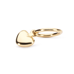 Trollbeads Ritired Mini Cuore