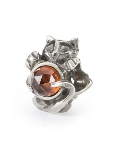 Trollbeads Zampe Preziose | Agold