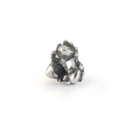 Trollbeads Ghianda dei Sogni