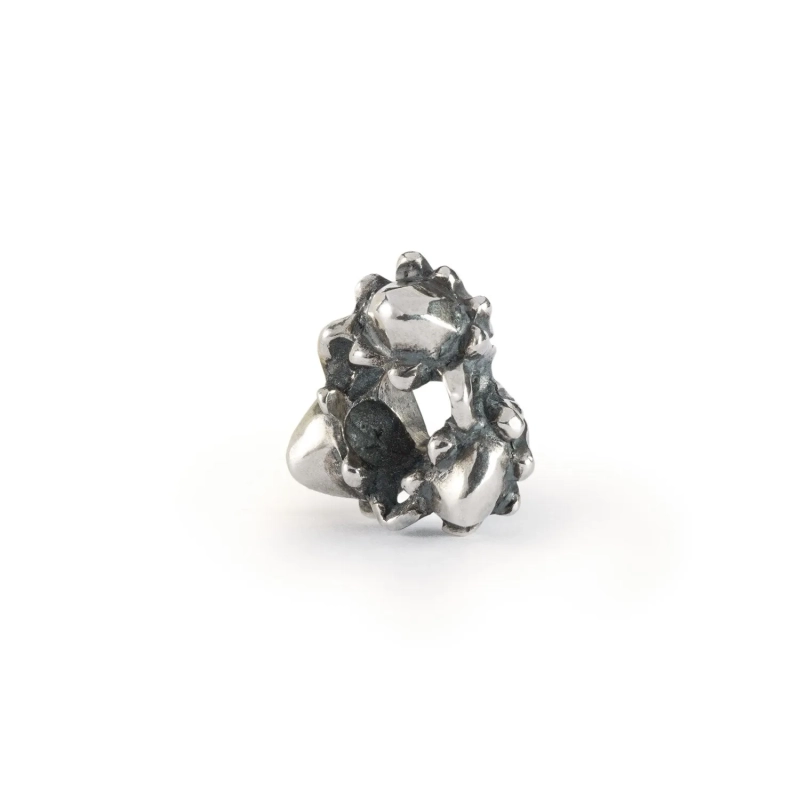 Trollbeads Ghianda dei Sogni | Agold