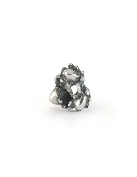 Trollbeads Ghianda dei Sogni | Agold