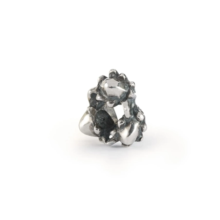 Trollbeads Ghianda dei Sogni | Agold