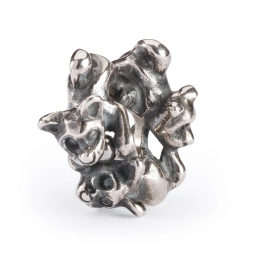 Trollbeads Insieme in Allegria