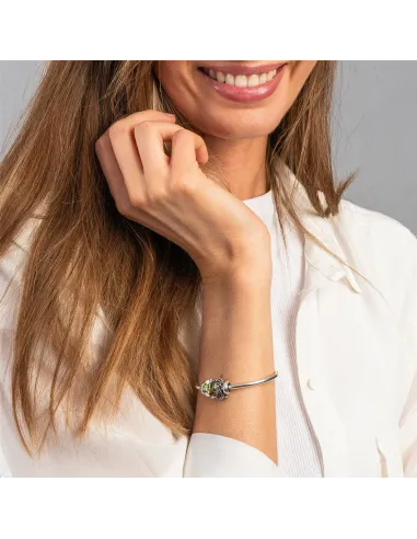 Trollbeads Cammino Fedele | Agold