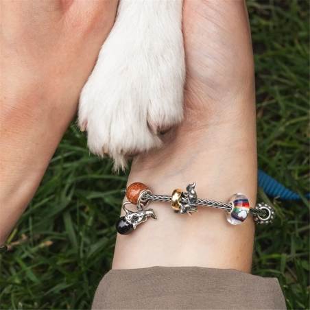 Trollbeads Compagno per la Vita | Agold