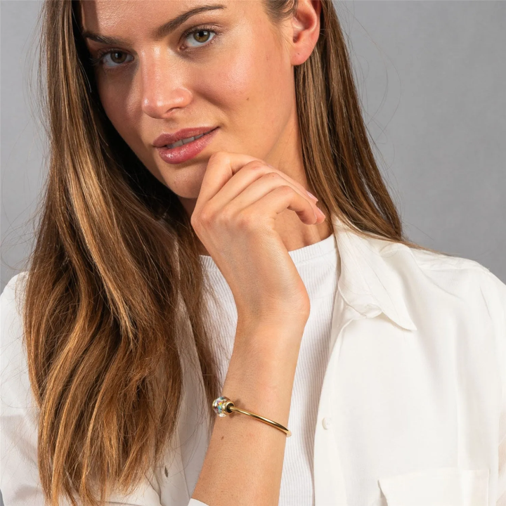 Trollbeads Limited Edition Buoni Propositi 2024