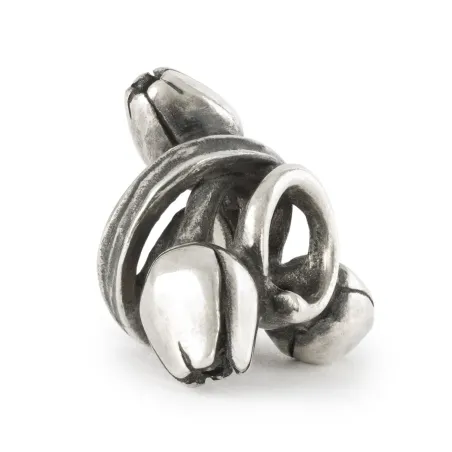 Trollbeads Tulipani dell'Ottimismo | Agold