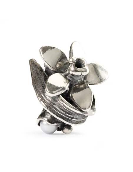 Trollbeads Narciso di Dicembre