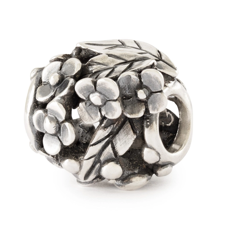 Trollbeads Riva del Lago | Agold
