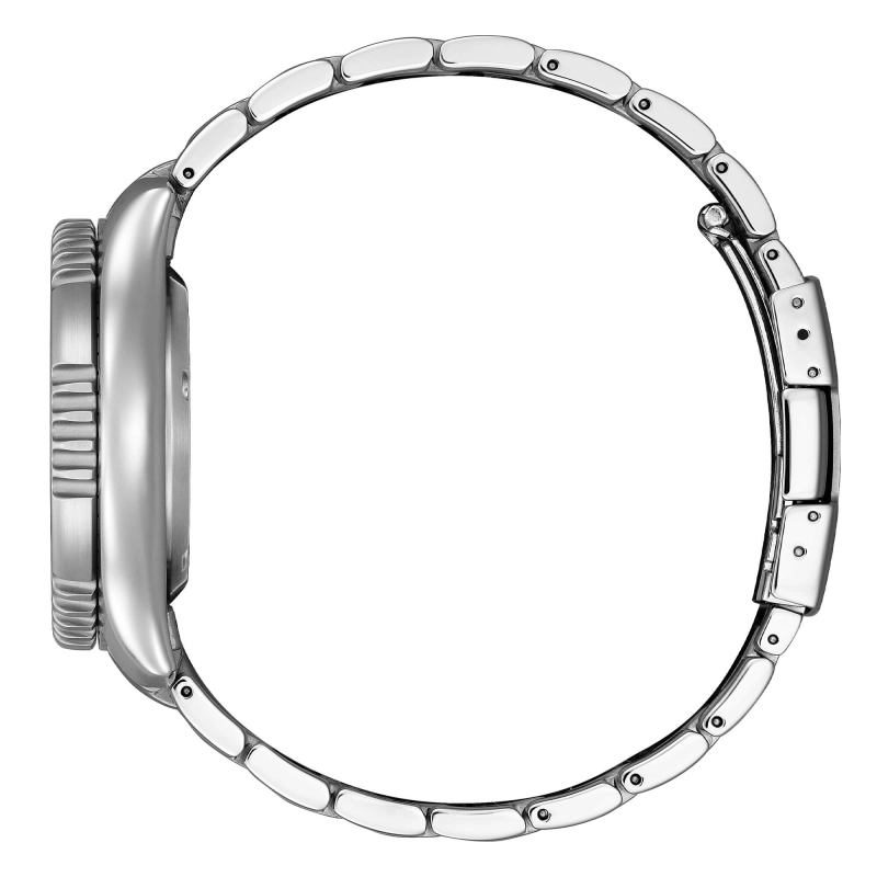 CITIZEN Diver's Automatic 200 mt Fugu Limited Edition | Agold