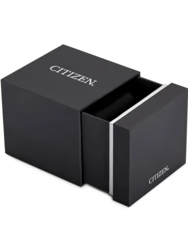 CITIZEN Aviator