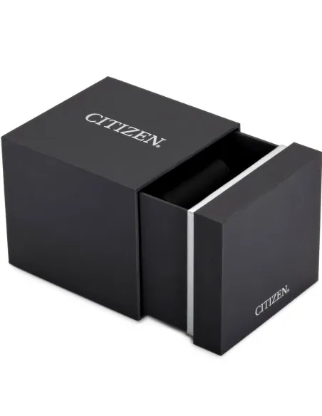 CITIZEN Aviator