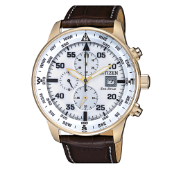 CITIZEN Aviator