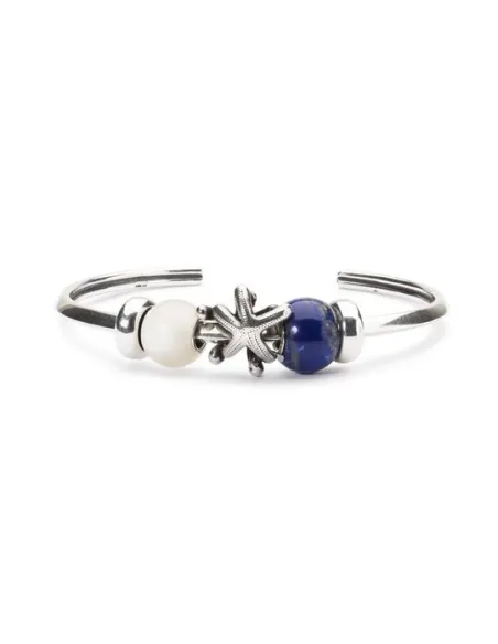 Trollbeads Stella Marina | Agold