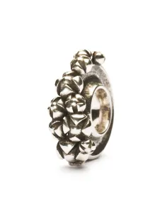 Trollbeads Ritired Buganville