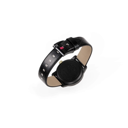 SmileSolar "Acetate" | Agold