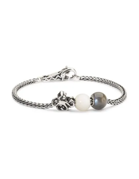 Trollbeads Chiusura Delfino | Agold