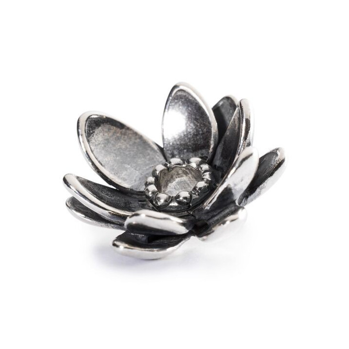 Trollbeads Loto Spirituale