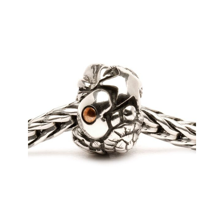 Trollbeads Ritired Simboli