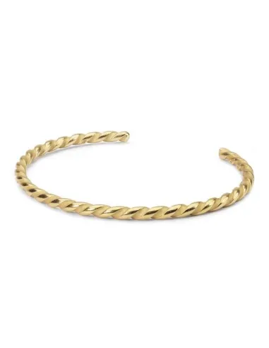 Trollbeads Bangle Spirale Placcato Oro