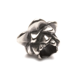 Trollbeads Ritired Loto