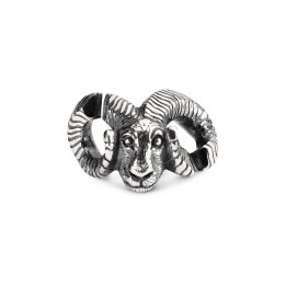 X JEWELLERY L'Ariete