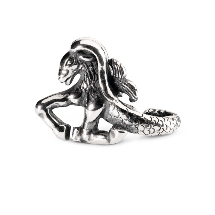 X JEWELLERY Il Capricorno