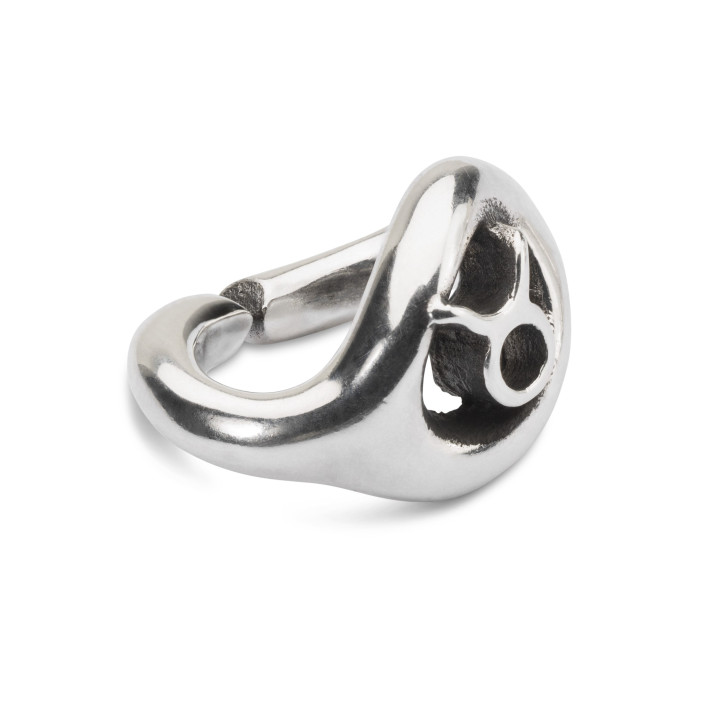 X JEWELLERY Taurus