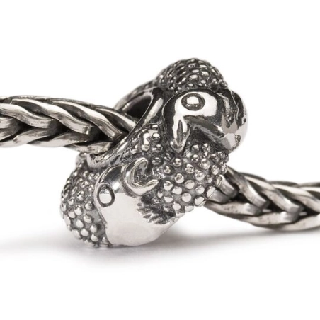 Trollbeads Uccelli Del Paradiso | Agold