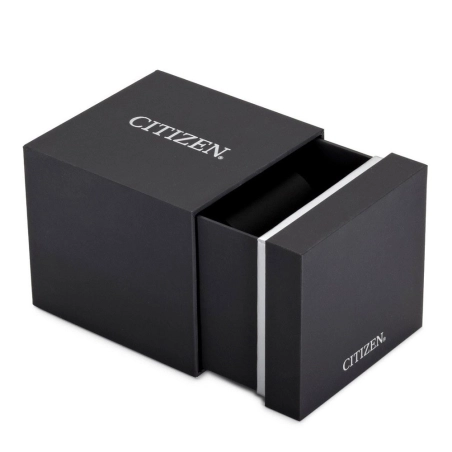 CITIZEN Pilot Acciaio | Agold